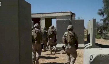 قوات أوروبية في غزة.. الخطة الأمريكية لإعادة تقسيم القطاع بعد الدمار