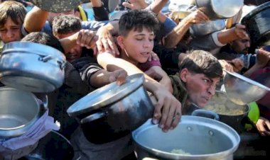 شبكات المال الخفي.. كيف أعادت تبرعات غزة فتح ملف تمويل الإخوان