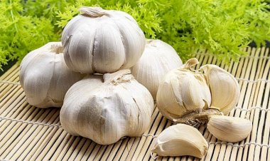دليل شامل: أفضل الممارسات لتخزين الثوم والحفاظ على جودته لموسم الشتاء