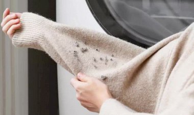 طرق فعالة لإزالة الوبر من الملابس الصوفية والحفاظ عليها