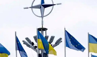 ضمانات بلا عضوية: كيف تُفاوض أوكرانيا على أمنها خارج مظضلة الناتو
