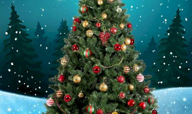 من الأسطورة إلى أيقونة الاحتفال.. حكاية شجرة الكريسماس عبر العصور