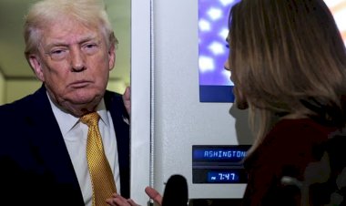 ستيفن ميلر يثير الغضب.. الولايات المتحدة تصر على ضم غرينلاند