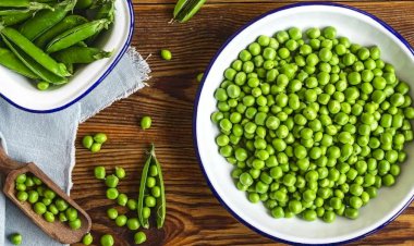 3 خطوات ذكية لتخزين البسلة لرمضان.. احتفظي بطعمها وفوائدها طوال العام