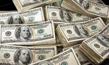 أسعار العملات العربية.. الدولار يُواصل السقوط أمام الجنيه المصري