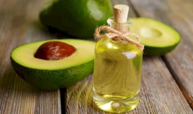 فوائد زيت الأفوكادو للبشرة.. وصفات طبيعية لنعومة وترطيب عميق