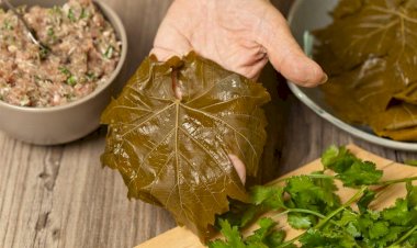 منيو  فطار 13 رمضان.. وصفة محشي ورق العنب باللحمة المفرومة مع شوربة خفيفة