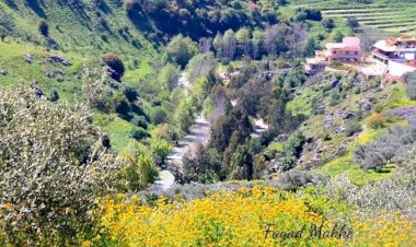 بعد استهداف إسرائيل لاثنين منها.. معلومات عن أهم الجسور على نهر الليطاني في لبنان