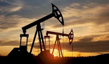 بالتفاصيل والأرقام.. تعرّف على الدول الآسيوية الأكثر تأثرًا بأزمة الطاقة؟