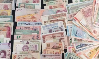 أسعار العملات الأجنبية أمام الجنيه المصري – الثلاثاء 7 أبريل 2026