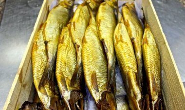 قبل شم النسيم.. أغلى أنواع الرنجة في الأسواق وسعرها الحقيقي