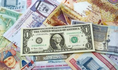 أسعار العملات الأجنبية أمام الجنيه المصري –  السبت 16 مايو 2026