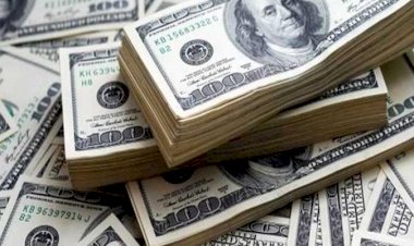 استقرار أسعار العملات الأجنبية والعربية أمام الجنيه المصري السبت 13 يونيو 2026