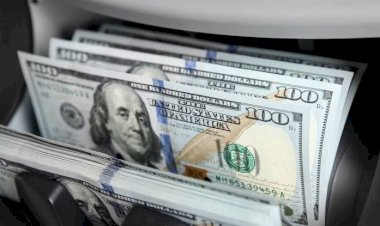 سعر الدولار اليوم الأربعاء 1 يوليو 2026 في مصر.. آخر تحديث في البنوك المصرية