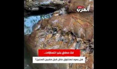 فكّ عملاق يثير التساؤلات.. هل يعود لمخلوق عاش قبل ملايين السنين؟