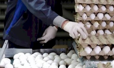 اقتصاد إيران يصل إلى مرحلة الخطر.. المواطنون يدخرون البيض بدلًا من الأموال