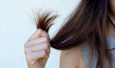 العناية بالشعر في الشتاء.. 4 خطوات أساسية لحمايته من الجفاف والتجعد