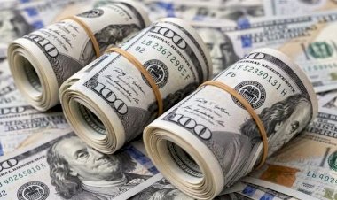 أسعار العملات الأجنبية أمام الجنيه المصري اليوم الجمعة 16 أكتوبر 2026