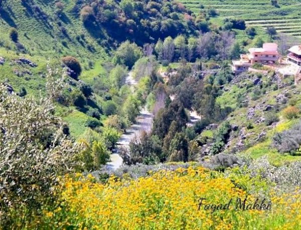بعد استهداف إسرائيل لاثنين منها.. معلومات عن أهم الجسور على نهر الليطاني في لبنان