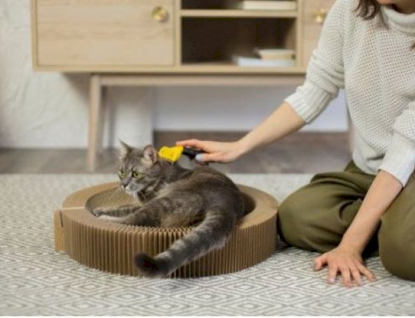 إزالة وبر الحيوانات الأليفة من الملابس.. 5 حيل فعالة بنتائج سريعة