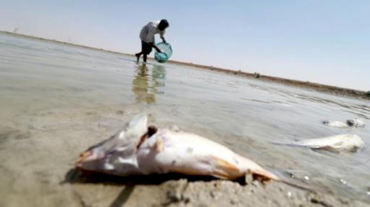 تجاهل مصلحة جيرانه.. 