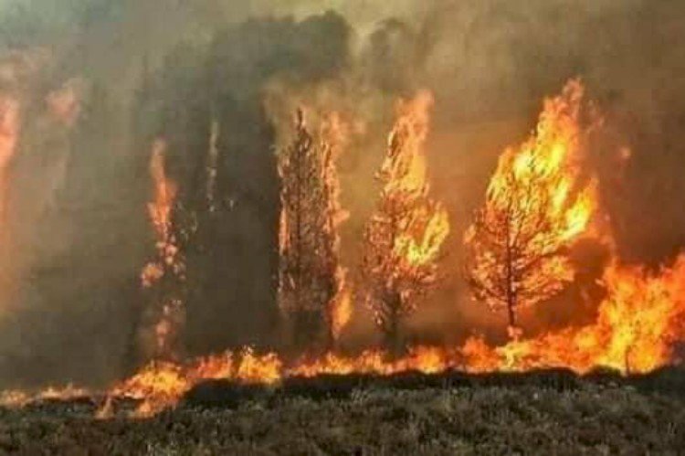 سوريا تحترق.. النيران تلتهم المنازل والأراضي والنظام