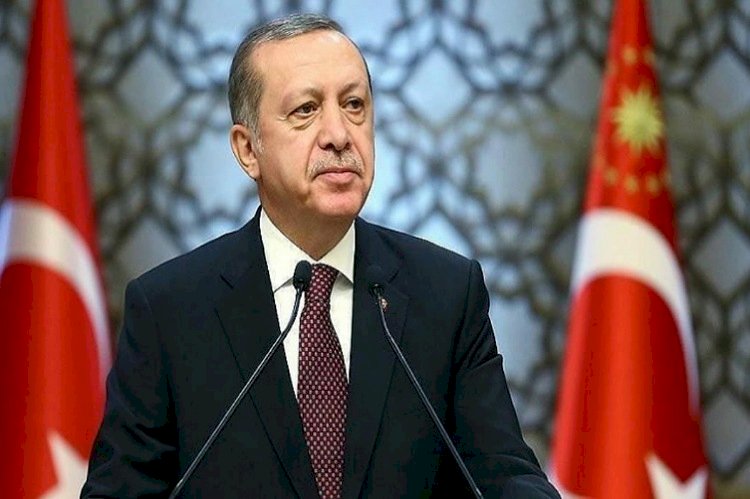 كيف روض أردوغان قاضية بالمحكمة الأوروبية للتغطية على جرائمه؟