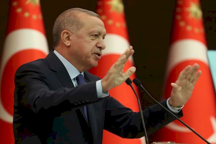وثائق تكشف استعانة المخابرات التركية بالإرهابيين لدعم أردوغان