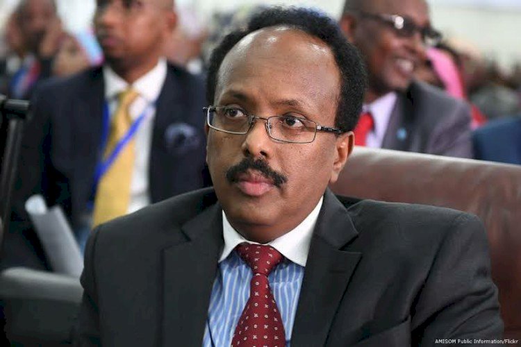 فرماجو وأميركا: الديكتاتور الصومالي بين غضب البيت الأبيض  وجنسيته الأميركية!