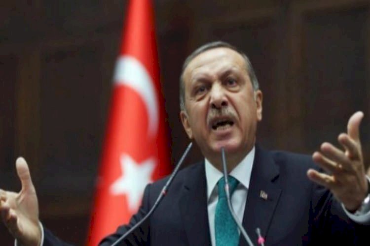 كشف فساد أردوغان وعلاقته بفرنسا.. مَن هو الثري التركي جيم أوزان؟