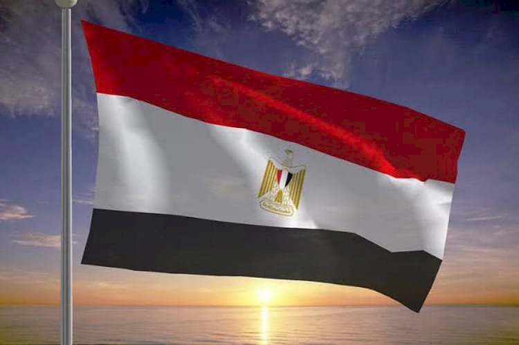 باحث: الدولة المصرية تحترم حقوق الإنسان ولا تفرق بين اللاجئين ومواطنيها