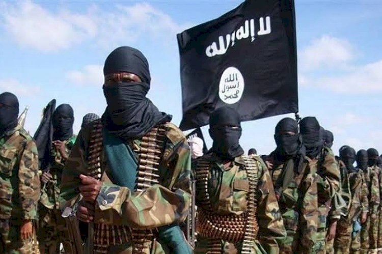 تمدد داعش.. كيف يخلق الإرهاب بؤره الجديدة في غرب إفريقيا؟
