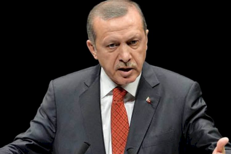 نورديك مونيتور: حلفاء أردوغان يهددون بمهاجمة السفراء الأميركيين والغربيين في تركيا