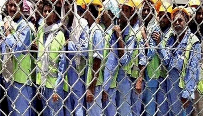الفيفا يناقش وضع العمال في قطر مع منظمة العفو الدولية