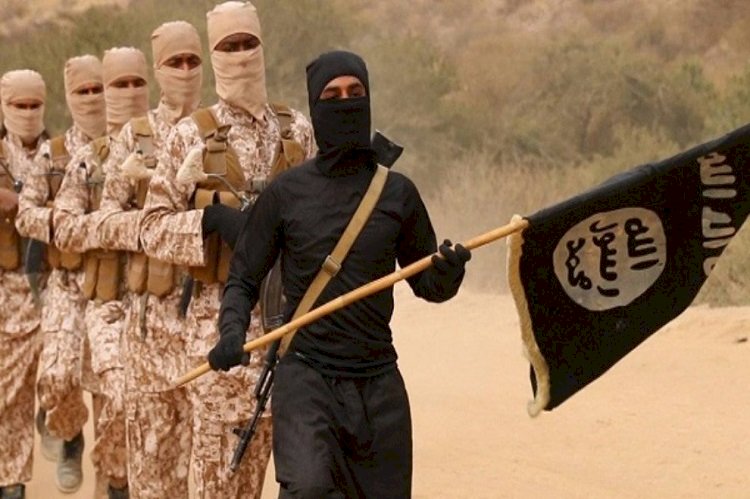 مصعب مطاوع.. نجل شقيقة زعيم حماس وقائد داعش في سيناء
