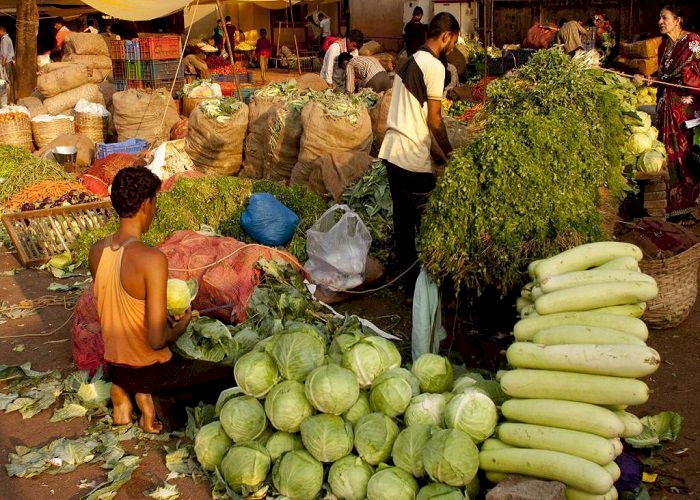 لإنقاذ العالم.. جهود إماراتية مكثفة لمواجهة انعدام الأمن الغذائي والمجاعات