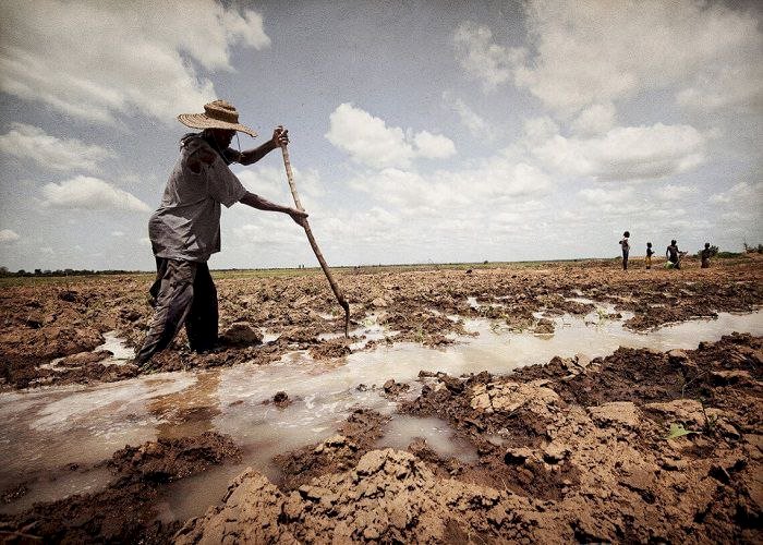 الإمارات كلمة السر.. هل ينجح العالم في مواجهة تغيرات المناخ القاسية في COP28؟