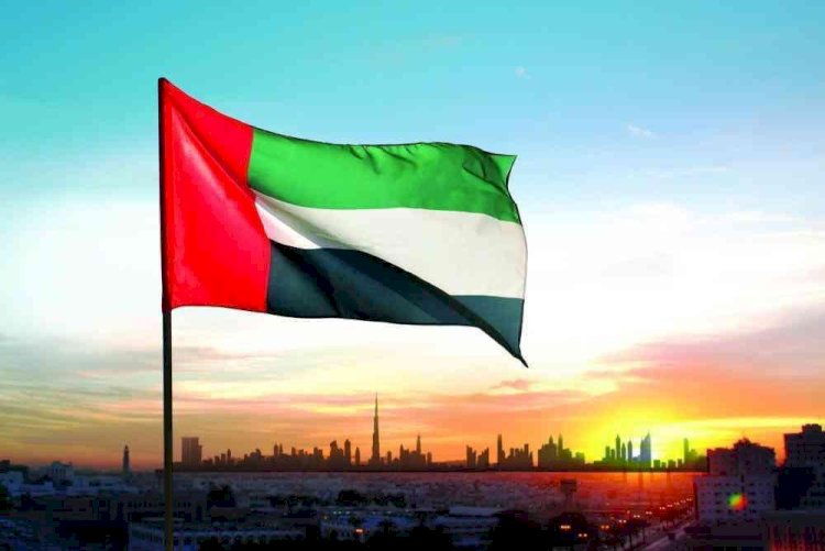 خبير في المناخ: الإمارات تواصل إطلاق المبادرات لنشر حلول الاستدامة والطاقة المتجددة عالميًا