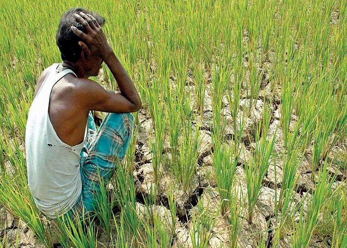 ترقب إقليمي.. الهند تنتظر الأمطار لإعادة تصدير الأرز والسلع الغذائية