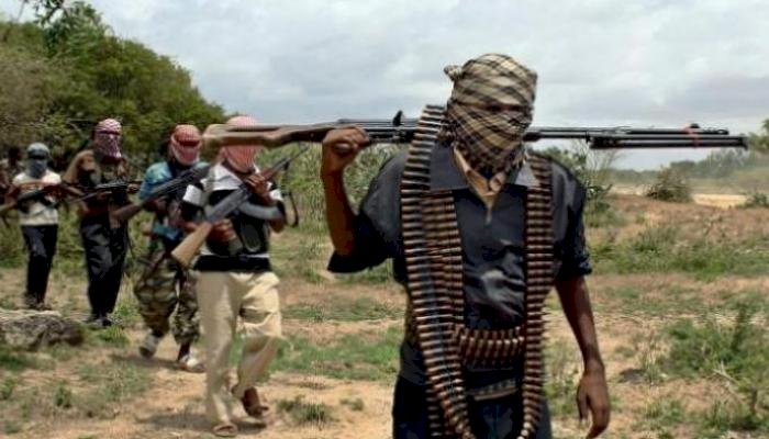 خسائر وأزمات.. حركة الشباب الصومالية تتكبد الهزائم بسبب جرائمها الإرهابية