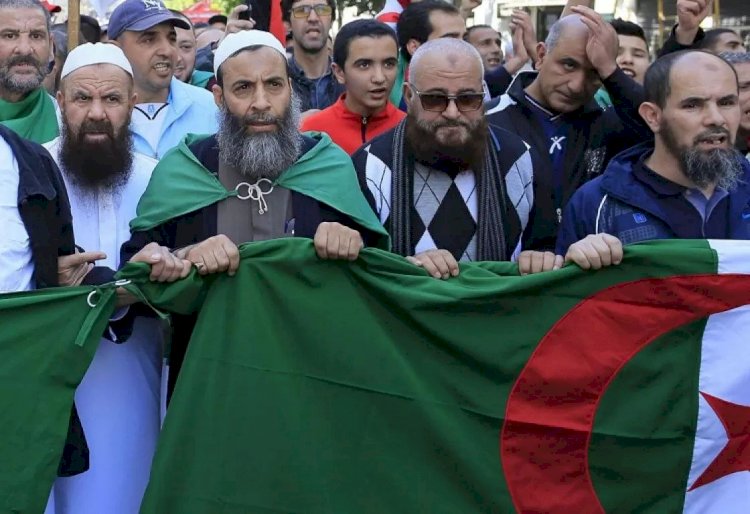 تعديل قانون الانتخابات.. بوابة إخوان الجزائر للعودة إلى السلطة