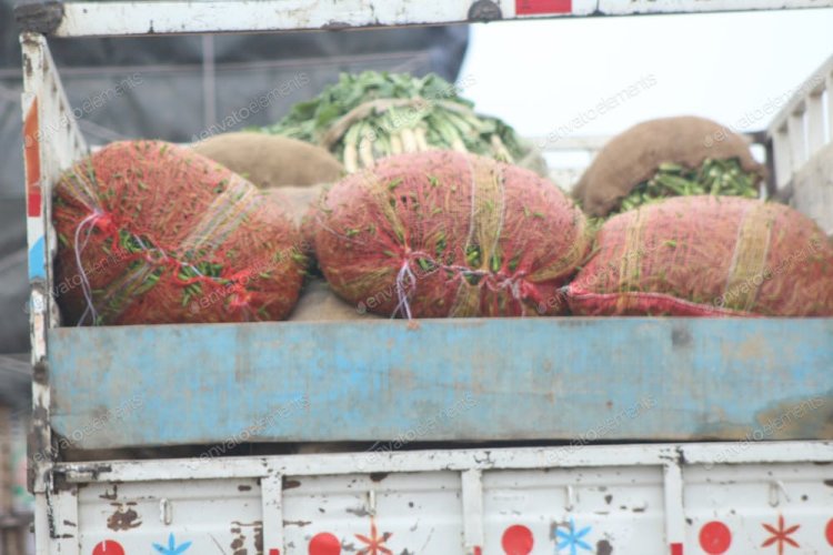 في العيد.. الآلاف في غزة يواجهون المجاعة وشاحنات المساعدات تصطف في مصر