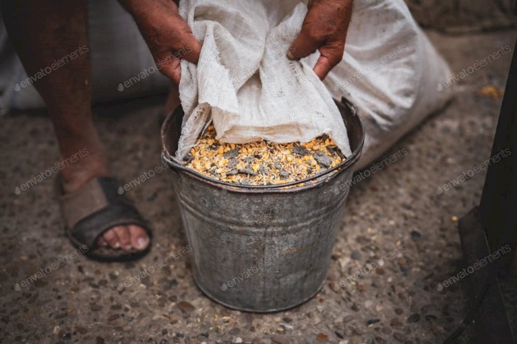 الجحيم على الأرض.. مستشفيات غزة تشهد أسوأ الكوارث الإنسانية في التاريخ الحديث