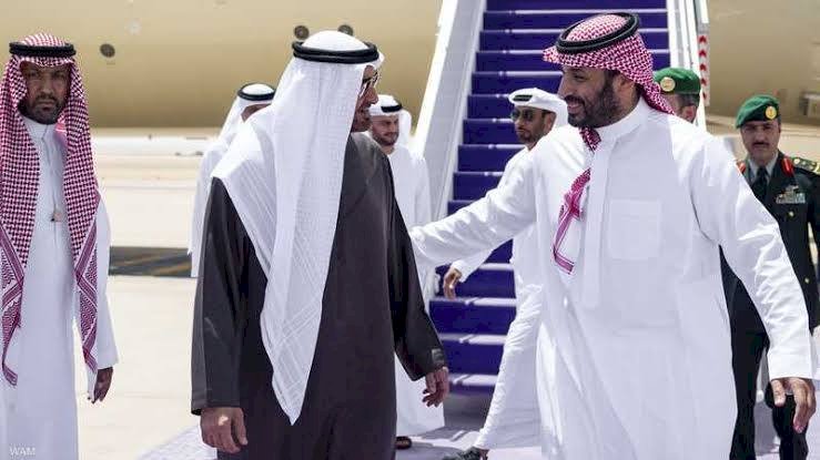 خبير إماراتي: لقاء قادة الإمارات والسعودية يؤكد توافق الرؤى بين البلدين