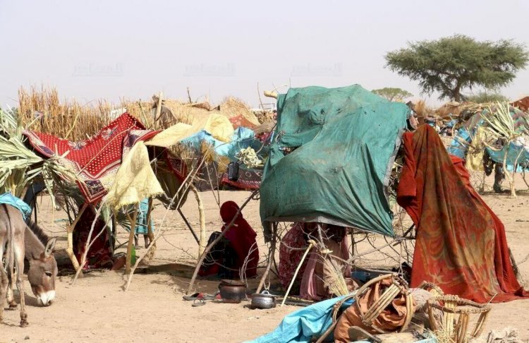 المرأة السودانية في زمن الحرب.. أدوار جديدة وسط الفوضى