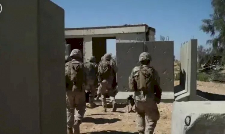 قوات أوروبية في غزة.. الخطة الأمريكية لإعادة تقسيم القطاع بعد الدمار