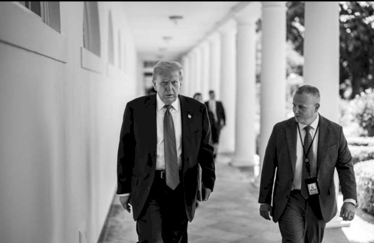 مودرن دبلوماسي: الإخوان يُواجهون ضربة قاضية بعد قرار ترامب