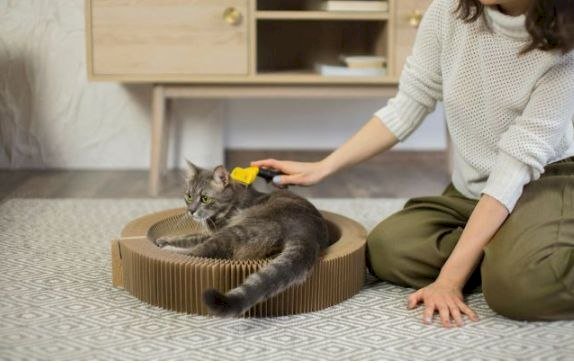 إزالة وبر الحيوانات الأليفة من الملابس.. 5 حيل فعالة بنتائج سريعة