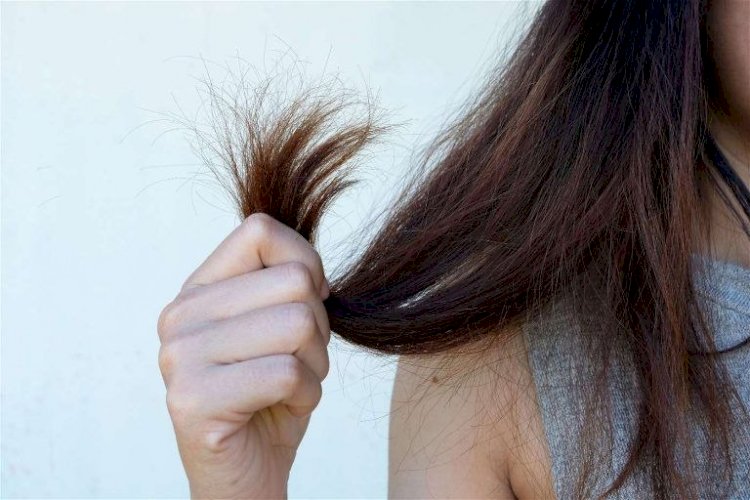 العناية بالشعر في الشتاء.. 4 خطوات أساسية لحمايته من الجفاف والتجعد